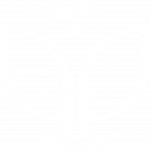 png_logo_quadrat_digital_weiß